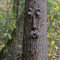 Tuzsocr Baumstamm Deko, Baumgesichter Für Bäume, Alter Mann Baumumarmer, Garden Peeker Yard Art, Gartendeko (Baumgesicht C)