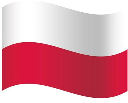 EM Fanartikel Magnet Flagge Fahne für Auto Deko Alle Länder Verschiedene Größen (Polen, M (30x20cm))