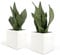 Lot de 2 pots carrés en céramique pour intérieur, blancs, pour plantes succulentes, fleurs, bonsaï, cactus, décoration maison, bureau, table, bureau, (M - 10 x 10 cm)
