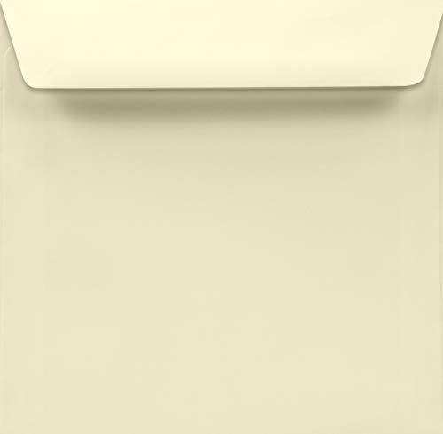 Netuno 25 quadratische Briefumschläge Elfenbein 155 x 155 mm 120g Aster Smooth Ivory Creme Briefkuverts quadratisch haftklebend ohne Fenster Briefhüllen für Einladungen Grußkarten Umschläge edel
