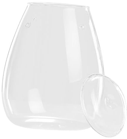 BESPORTBLE Botella De Vidrio para Terrario Paisaje Jarrón Decorativo Transparente Envase para Flores Plantas y Musgo para Decoración del Hogar y Proyectos