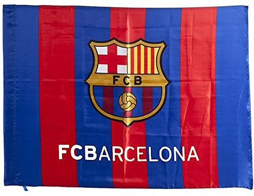 Offizielle Flagge, blaugrandioses vertikales Motiv mit Wappen, Maße 75 x 50 cm, offizielles Lizenzprodukt.