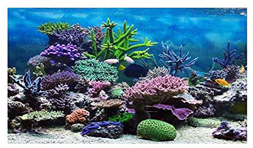 AN Fish Tank Poster Coral Aquarium Background Underwater Poster Tank Background Stickers for Fish Tank 61 * 30cm