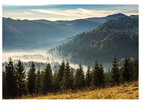 Fototapete Berge Panorama Wald im Nebel Bäume Landschaft - inkl. Kleister - für Wohnzimmer Schlafzimmer Flur Vlies Tapete Vliestapete Wandtapete Motivtapeten Montagefertig (104x70 cm)