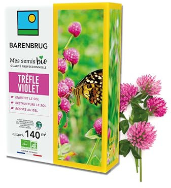 BARENBRUG - Trèfle violet BIO - Enrichit le Sol - Restructure le Sol - Résiste au Gel - Restitue les Éléments Nutritifs aux Futures Cultures - Fabriqué en France - 500G