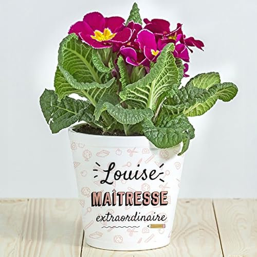 Wanapix | Pot de Fleurs Personnalisé | Cadeaux pour profs et maîtresses/Enseignants/éducateurs | Pot Plante Intérieur | Céramique | Maîtresse Extraordinaire