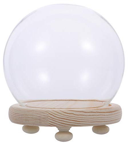 ifundom Verre Clair Cloche Globe Affichage Cloche Pot Transparent en Verre Mini Assiette À Gâteau Dessert Gâteau Stand avec Socle en Bois Décoratif Couvercle De Cloche pour