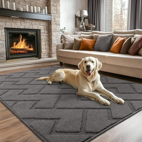 Biscpro Fußmatte Innen Außen Waschbar eingangsteppich innen Schmutzfangmatte rutschfest,Türmatte Innen Teppich für Eingang, Patio, Flur, Garten, Innen und Außen (Grau, 119 * 180)