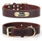 SLZZ Personalisiertes Hundehalsband aus echtem Leder mit Hundename Telefonnummer/langlebiges verstellbares Hundehalsband für X-Klein Klein Mittel Groß X-Groß Hunde-M