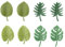 Tabanzhe 8 PCS Cute Leaves Fridge Magnets,Green Decorative Refrigerator Magnets,3D Tropical Plants Leaves Magnetic Stickers for Home Kitchen Office Room Decor