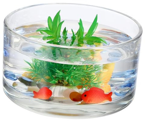 Abaodam Pot hydroponique en Verre Transparent de capacité, Vase décoratif élégant pour décoration Durable avec Haute Transparence pour boutures et Arrangements de Plantes