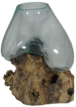 Glas-Vase auf Wurzelholz aus Handarbeit - insg. ca. 35 cm hoch und 25 cm breit