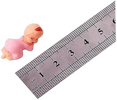 ibasenice 100 Stück Lustige Puppenbadewannen Für Kleinkinder Babybadespielzeug Säuglingsspielzeug Babybadewanne Minibadewannenspielzeug Spielzeug Für Kleinkinder Minibabys Große