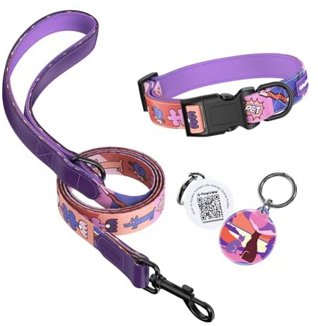 Sonnenaufgangs Stil Personalisierte Hundeleine und Halsband Set Verstellbar, mit Hundemarke qr Code, Passend für große Hunde L (Halsumfang: 41–66 cm, Leinenlänge: 1.8 m) DE