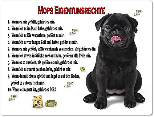 Merchandise for Fans Blechschild/Warnschild/Türschild - Aluminium - 15x20cm Eigentumsrechte Motiv: Mops (06)