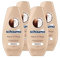 Schauma Spülung Repair & Pflege (250 ml), Haarspülung mit Kokos-Extrakt pflegt trockenes Haar, Reparatur-Spülung für bis zu 3 x bessere Kämmbarkeit, 4x 250 ml