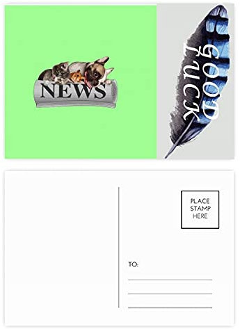 Roll Newspaper Pet Group Art Deco Fashion Lucky Feather Postcard Set Thanks Card Mailing Side 20pcs