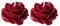 your castle Rosenkerze - 2 candele decorative a forma di fiore di rosa in rosso, in confezione regalo, circa 4 x 2 cm