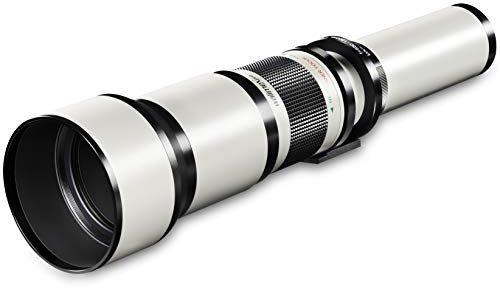 Walimex Pro 650-1300mm 1:8-16 DSLR-Teleobjektiv für Canon RF Objektivbajonett weiß (manueller Fokus, für Vollformat Sensor gerechnet, Filterdurchmesser 95mm, mit ausziehbarer Gegenlichtblende)