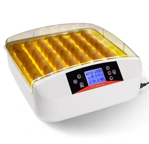 IDMarket - Brutmaschine Pro Automatisch, 56 beleuchtete Eier, freistehend, mit LED