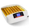 IDMarket - Brutmaschine Pro Automatisch, 56 beleuchtete Eier, freistehend, mit LED