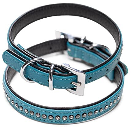 Hundehalsband aus Echt-Leder mit Strasssteinen/Kristall besetzt – funkelndes Hunde und Katzen Halsband aus gepolsterten und doppellagigen Büffelleder - Lederhalsband Audrey (S (20.0-27.5cm), Türkis)