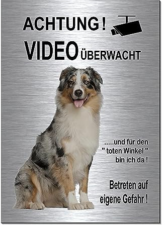 Australian Shepherd-Videoüberwachung-Hund-Schild-Hundeschild-300 x 200 x 3 mm-Aluminium Edelstahloptik-Hunde-Tierschild-Warnschild-Hinweisschild (133-43 mit 4 Löcher)