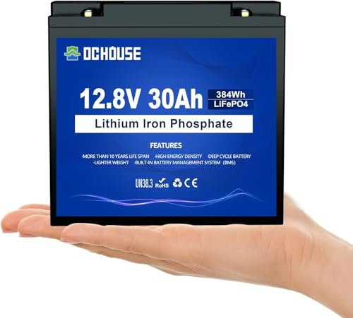 Batteria DCHOUSE 12V 30Ah LiFePO4 batteria al litio a ciclo profondo ricaricabile con 4000+ cicli profondi e protezione BMS per tosaerba, pannelli solari, barche a motore, camper, campeggio