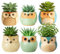 Toemics Ceramic Succulent Planter Pots Set of 6, Mini Cute Owl Flower Pots with Drainage Hole, Home Office Desk Decor, Windowsill Gardening Gifts for Birthdays, Christmas, Plant Lovers