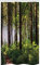 ABAKUHAUS Wald Schmaler Duschvorhang, Büsche und Thick Trunk, Badezimmer Deko Set aus Stoff mit Haken, 120 x 180 cm, Braun Grün