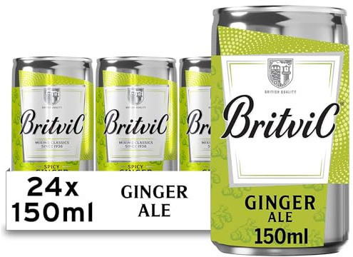 Britvic Ginger Ale 150ml Can | 24 Pack