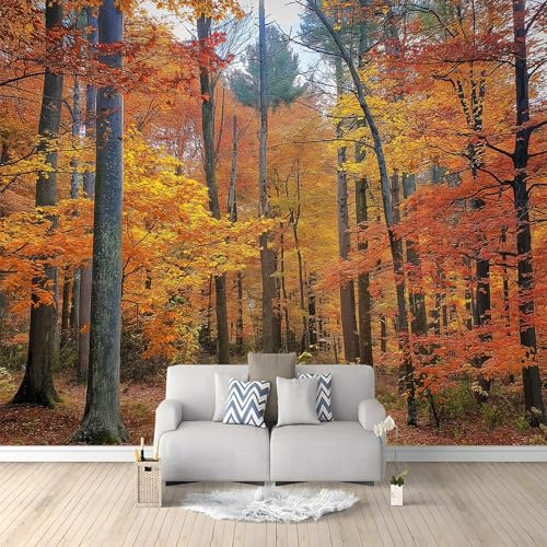 Papier Peint Intissé Forêt D'Automne Feuilles 300x210 cm Papier Peint Panoramique Moderne, Tableaux Muraux Tapisserie Photo, Papier Peint Mural pour Salon, Chambre, Fond Décor TV