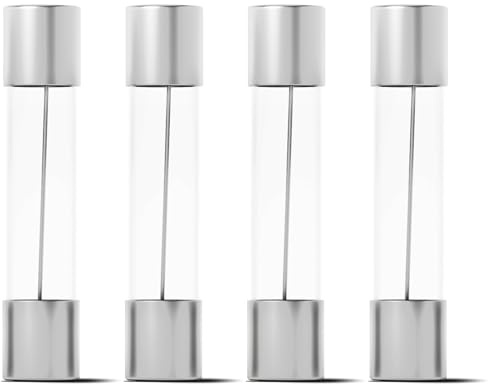VALICLUD 100pcs 20 Amp Glass Microwave Fuse Tubes High Voltage Slow Blow Cartridge Fuses for Home Oven and Fridge Electrical Repair Kit