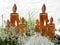 LB H&F Lilienburg Weihnachtsdeko Roststecker Rost Metall Garten (Kerze Maxi Set)