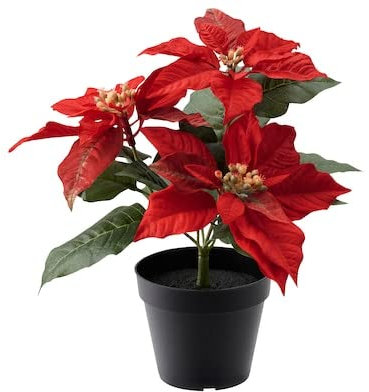 FEJKA Künstliche Topfpflanze, für den Außenbereich, Weihnachtsstern, rot, 12 cm