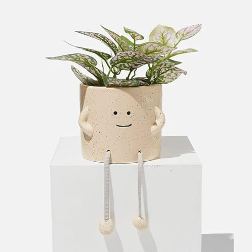 SparkDazzle Smiling Floral Succulent Planter, Cute Face Decorative Pot (4 Inch) with Rope Legs (Natural)