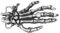 BENECREAT Ersatzgürtelschnalle Vintage, 12.5x6.1x1.9cm Große Gotische Wikinger-Totenkopf-Gürtelschnalle Für alle Festivals Und Anlässe als Geschenke
