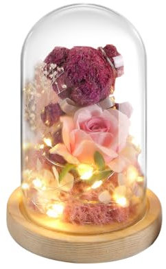 BIOSA Ewige, konservierte Blumen, Bär, süße Bärenblume, Rose, Glasabdeckung, Rose, hübscher Teddybär im Glas mit LED-Licht for Valentinstag, Muttertag, Geburtstag