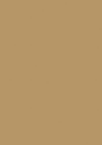 BRUNNEN Multifunktionspapier Universalpapier | A4, 120 g/m², sand