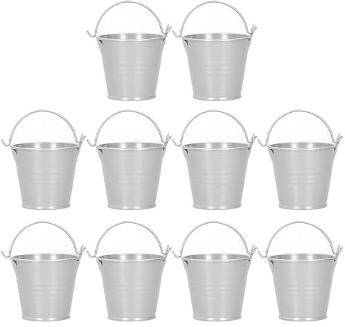 HERCHR Mini Secchielli con Manici per Piante Giardinaggio Decorazioni, 10 Pezzi mini secchielli da portata in metallo, Giardinaggio Piccolo Secchio di Ferro, vaso per piante grasse cactus, 4,4×5,5 cm