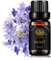 Aromaterapia Violeta aceite esencial para difusor, 100% puro aceite perfumado violeta para humidificador, Aceite esencial Violeta para hogar, 0,33 oz-10ml aromaterapia Violeta aceite para hacer jabón