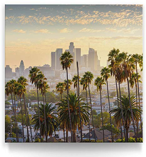 Wandbild Skyline Los Angeles Palmen - 50cm x 50cm Leinwand auf Fertigrahmen + Aufhänger