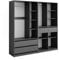 Vicco Kleiderschrank Elmo, Flügeltürenschrank, Anthrazit, 100 x 200 cm 2er Set