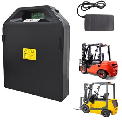 HJGHY 24V 20Ah 30Ah 50Ah Elektro-Gabelstapler-LiFePO4-Batterie 48V 20Ah Be- und Entlade-LKW-Lithium-Eisenphosphat-Transporter-Batterie mit Ladegerät,24v 20ah,A