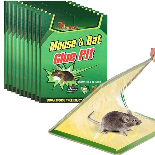 YARANY Trappola per topi per topi, piastre appiccicose topi, piastre di glu anti topi, anti-topi, confezione da 10 trappole per topi, cattura zanzare, scarafaggi, piege a topo