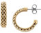 Skagen Women's Stainless Steel Push Back Earrings Zitronengold,6.6Lx6.6Wx2.5Hcm