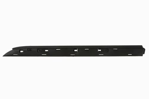 BLIC Zier Protective Strip Rear Left Door Driver Side Part Number: 5703-04-6001573P