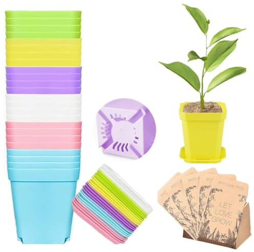 36 Pcs Plant Nursery Pots, Small Nursery Seedling Flower Pot with Drainage Hole and Saucer with Seed Envelopes,Ideal for All Indoor Outdoor House Plants for Cuttings,Succulents,Vegetable Propagation
