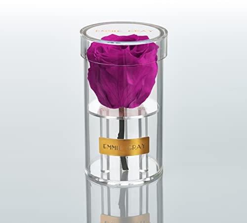 EG EMMIE GRAY Crystal Infinity | Acryl | – Traumhafte Infinity Rose, 1-3 Jahre haltbare Rose, Acrylgefäß mit echter, konservierter Rose, edle Premiumrose (Velvet Plum)