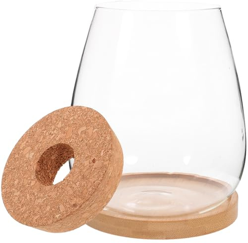 Yardwe Vase en Verre pour Fleurs Hydroponiques avec Support en Bambou, Décoration Naturelle et Présent pour Plantes D'intérieur et Maison